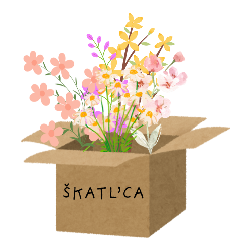 Škatl'ca Cvetka - Osnovna